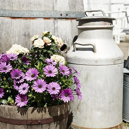 Hostel Sankt Helene *