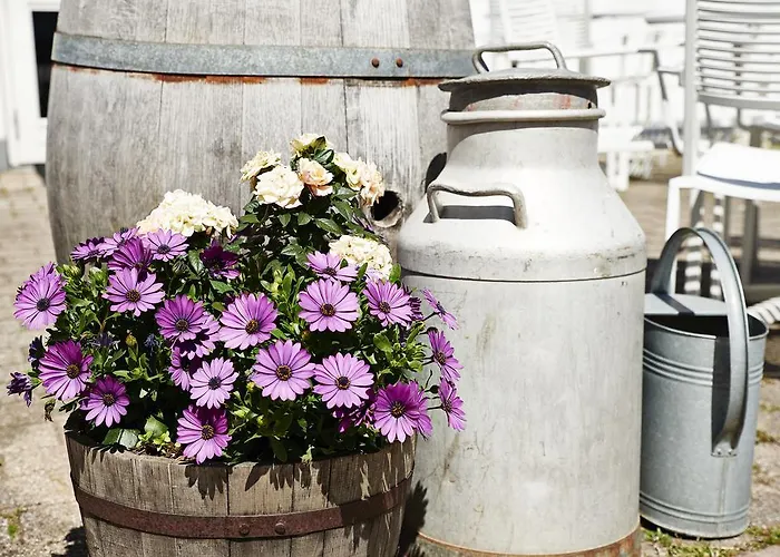 Hostel Sankt Helene *